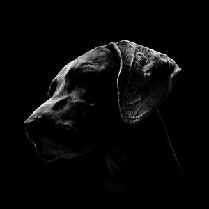 От тебя ждут