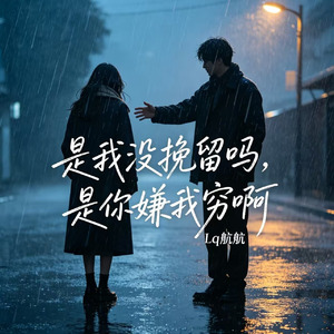 是我没挽留吗 是你嫌我穷啊