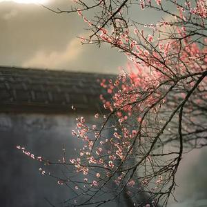 长安姑娘 (空灵鼓)