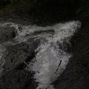 鱼（cover，陈绮贞）