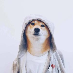 宿敌