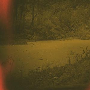 Dans kring musfällan