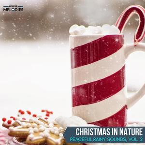 Beautiful Small Bird