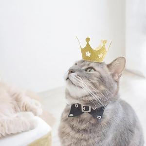 永不失联的爱（单依纯版）