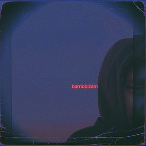 barriobizarro