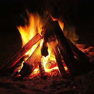 流浪汉往事回忆录