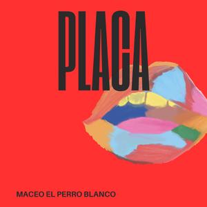 placa