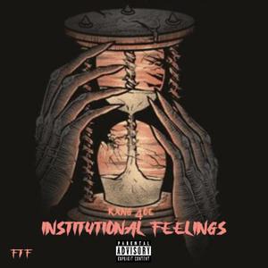 Institutional Feelings