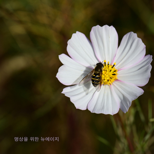 추운 바람