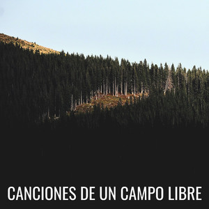 Espacio Libre Típico