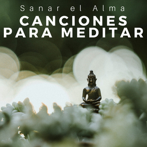 Sentarse Relax
