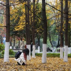 漠河舞厅（吉他指弹版）