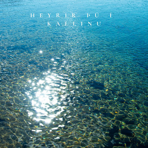 Heyrir Þú Í Kallinu