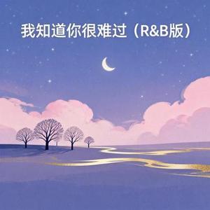 我知道你很难过  (R&B版) (Cover 蔡依林)