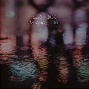 生命·意义 (Demo)