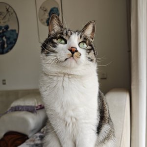 水瓶（cover：沈以诚）