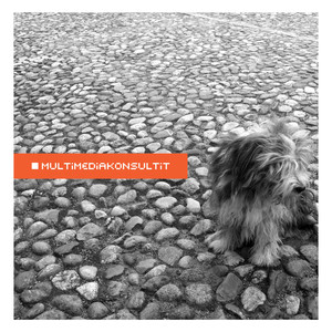 Sinä olet syyllinen