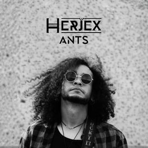 Ants
