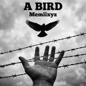 A Bird