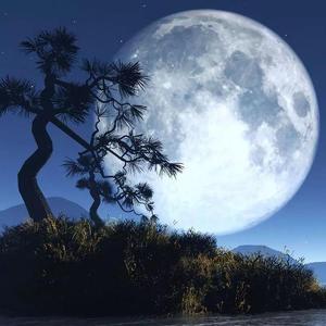 月亮代表谁的心