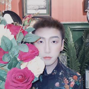 舒伯特玫瑰（翻自 蓝心羽）