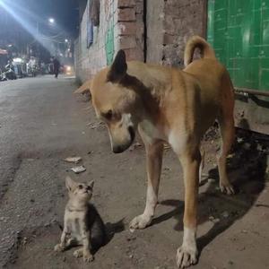 sống xa anh chẳng dễ dàng