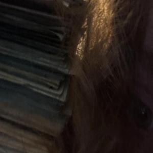 stoned (feat. fashionist)