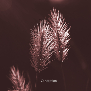 Conception