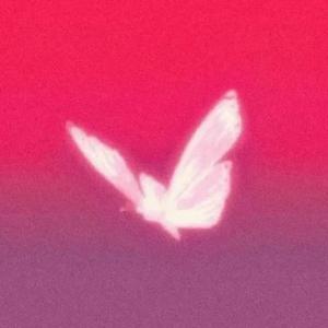 新鸳鸯蝴蝶梦（女版）