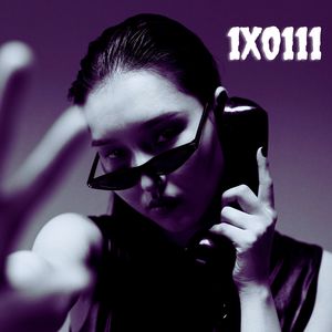 1x0111