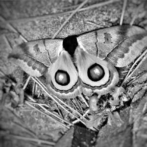 Ángulo de la Luz (Macka)