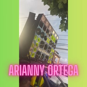 Adult Hippopotamuses