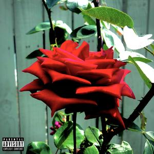 14U (feat. Hari Mistry)