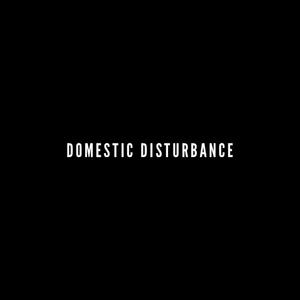 Domestic Distrubance