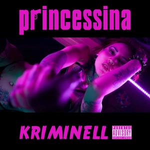 Kriminell (feat. Mae$trO)