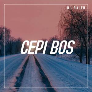 Cepi Bos