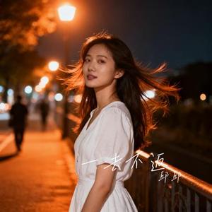 一去不返 (Cover 刘庭羽)
