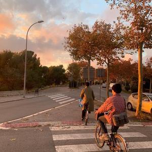 爱你的我十八岁