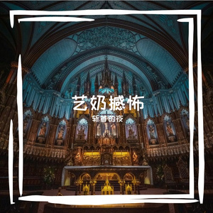 慰倩贾独偎闹闻