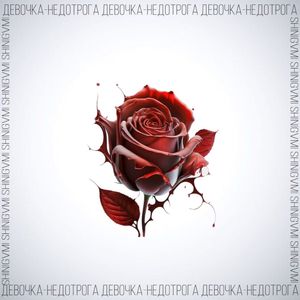 Девочка-недотрога (prod. by Concentracia)