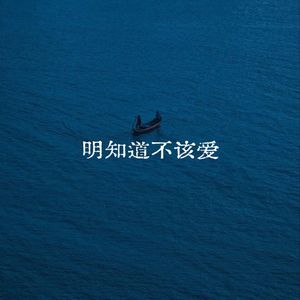 明知道不该爱