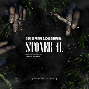 Stoner 4L