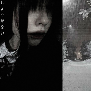 し ょ う が な い