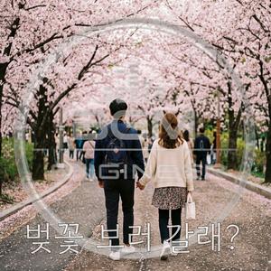 벚꽃 보러 갈래?