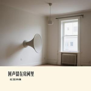 回声留在房间里