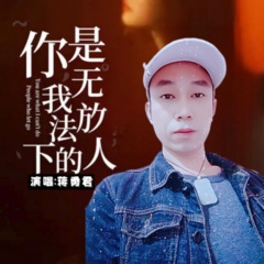 你是我无法放下的人