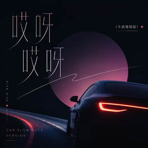 哎呀哎呀（抖音热播 洗脑慢摇 remix）