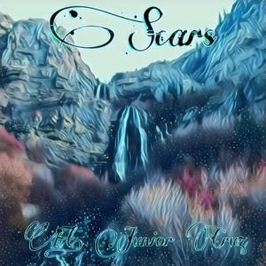 Scars (feat. Junior Cruz)