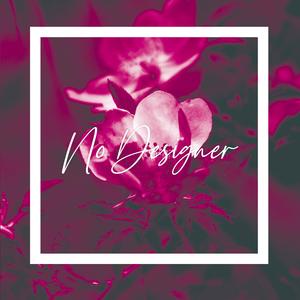 No Designer