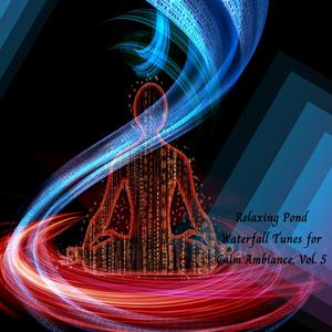 Hapi Drums Of Relaxation